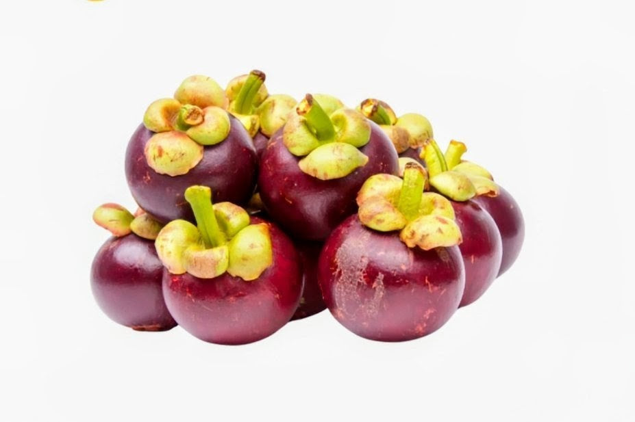 MANGOSTEEN 500g (PRE-ORDER)