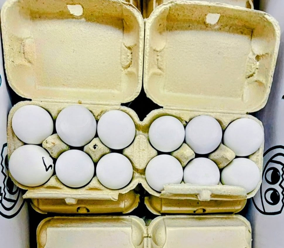 UNCOOKED BALUT