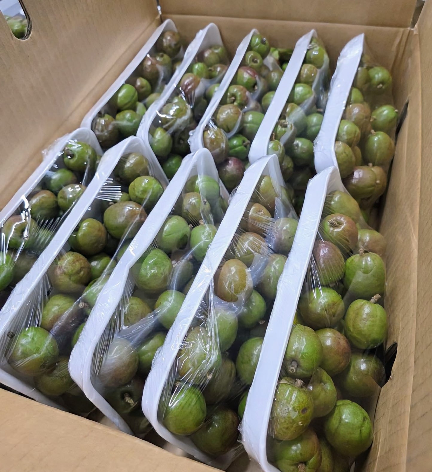 SINIGUELAS 500G/PACK (PRE-ORDER)