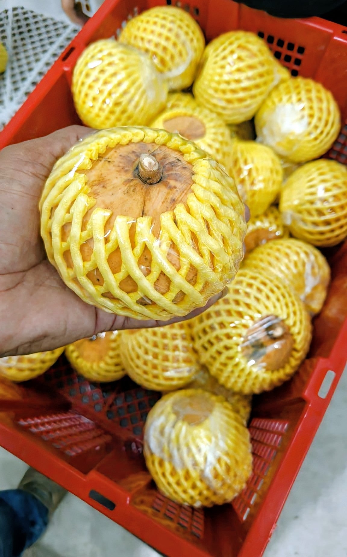 SANTOL 1KG