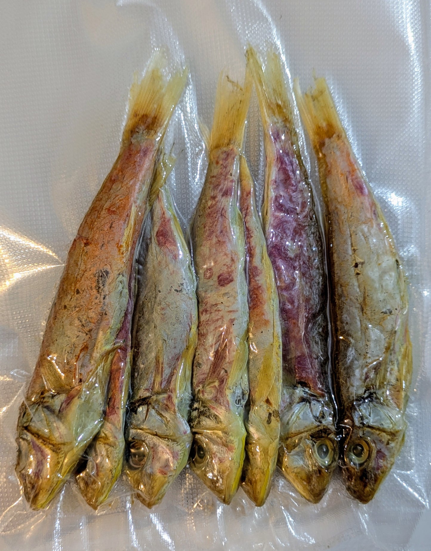 SALMONITE DRIED FISH 100G