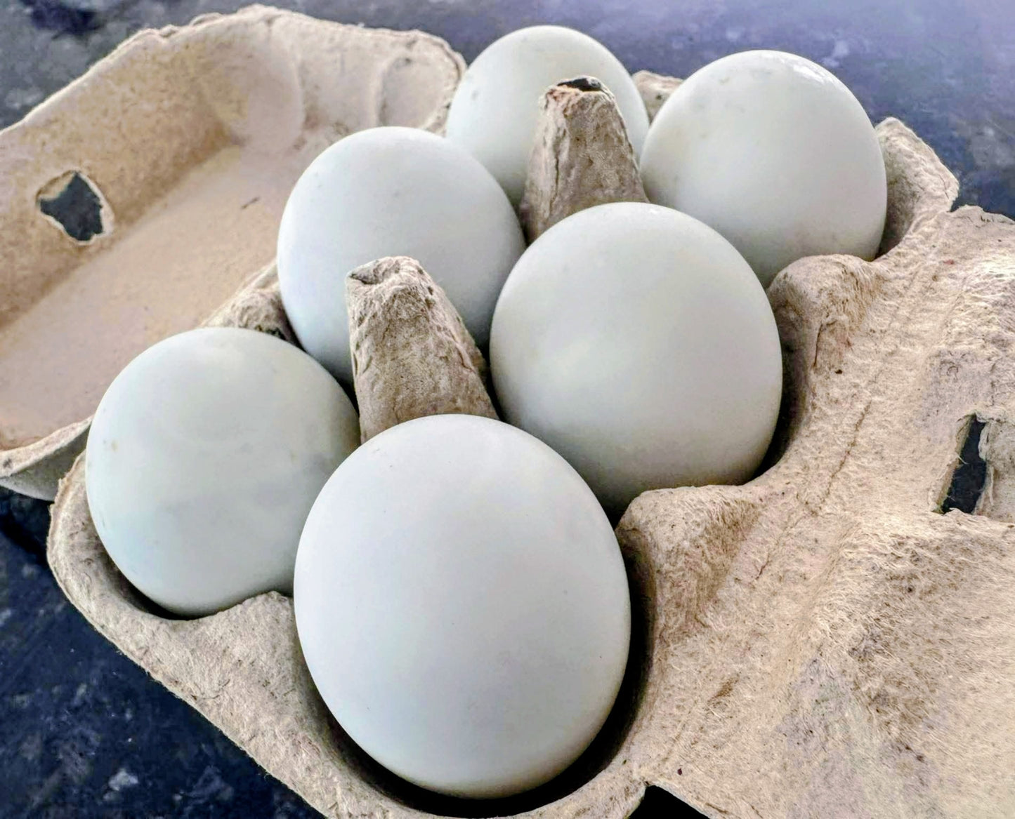 COOKED BALUT