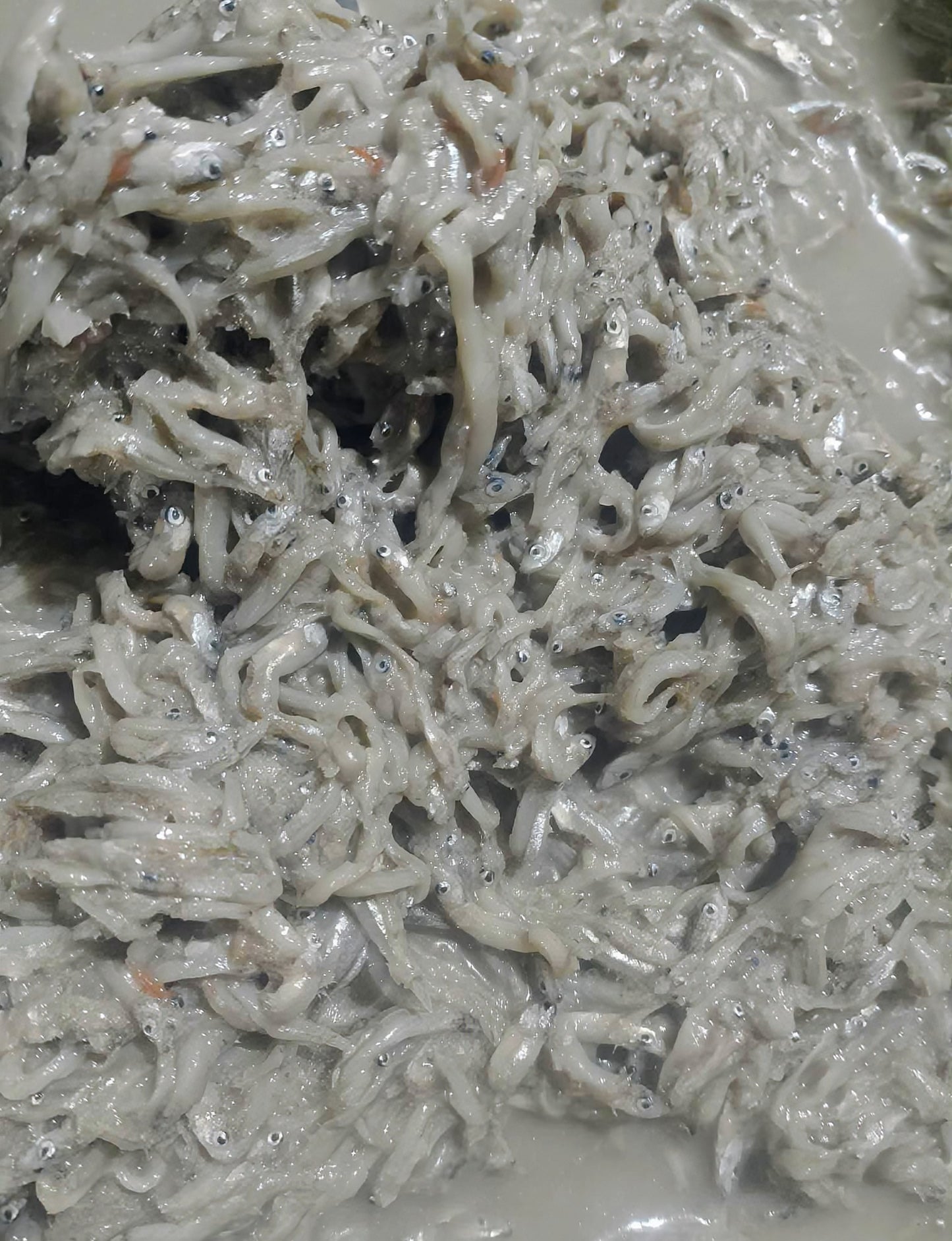 TUGNOS/GINAMOS