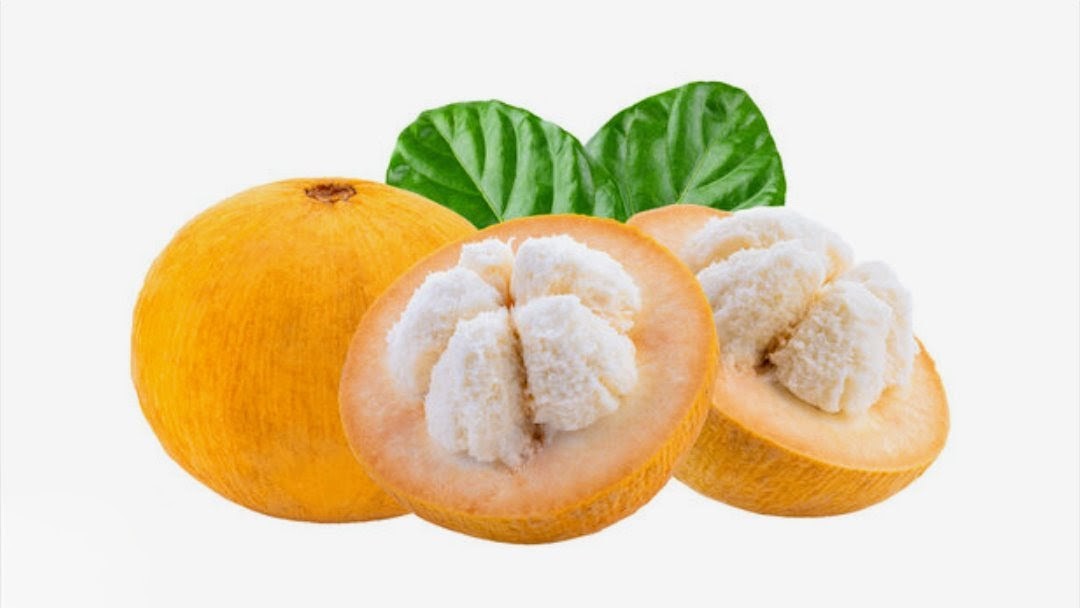 SANTOL 1KG