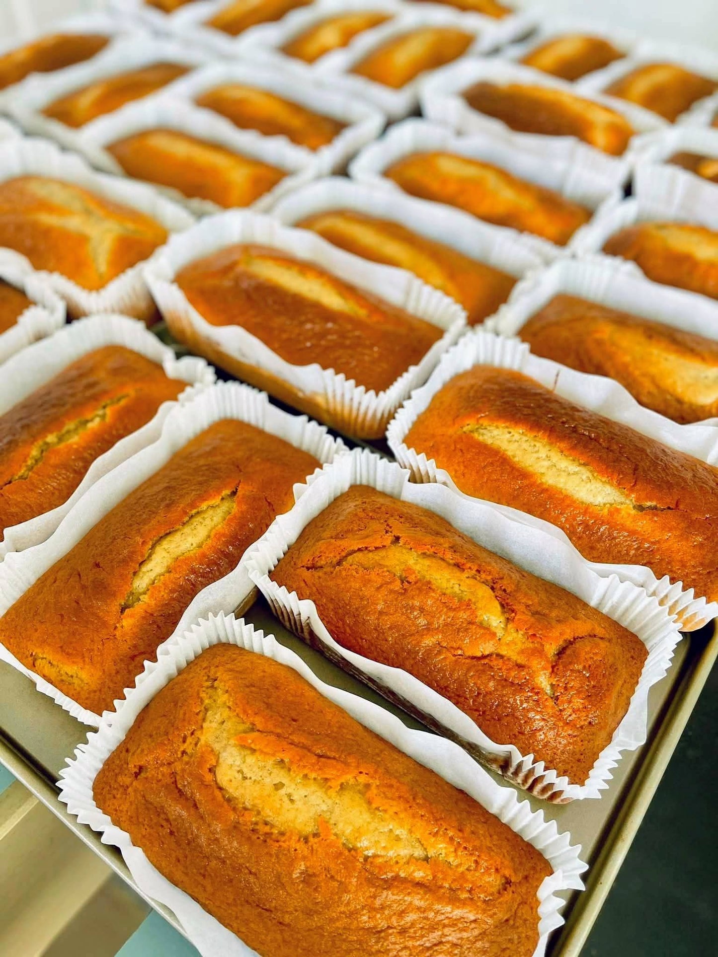 BANANA CAKE (PRE-ORDER) SHIPPING SEPT. 9
