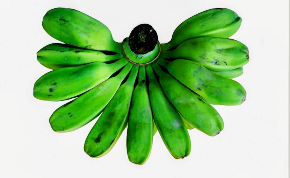 SAGING SABA 1kg (PRE-ORDER)