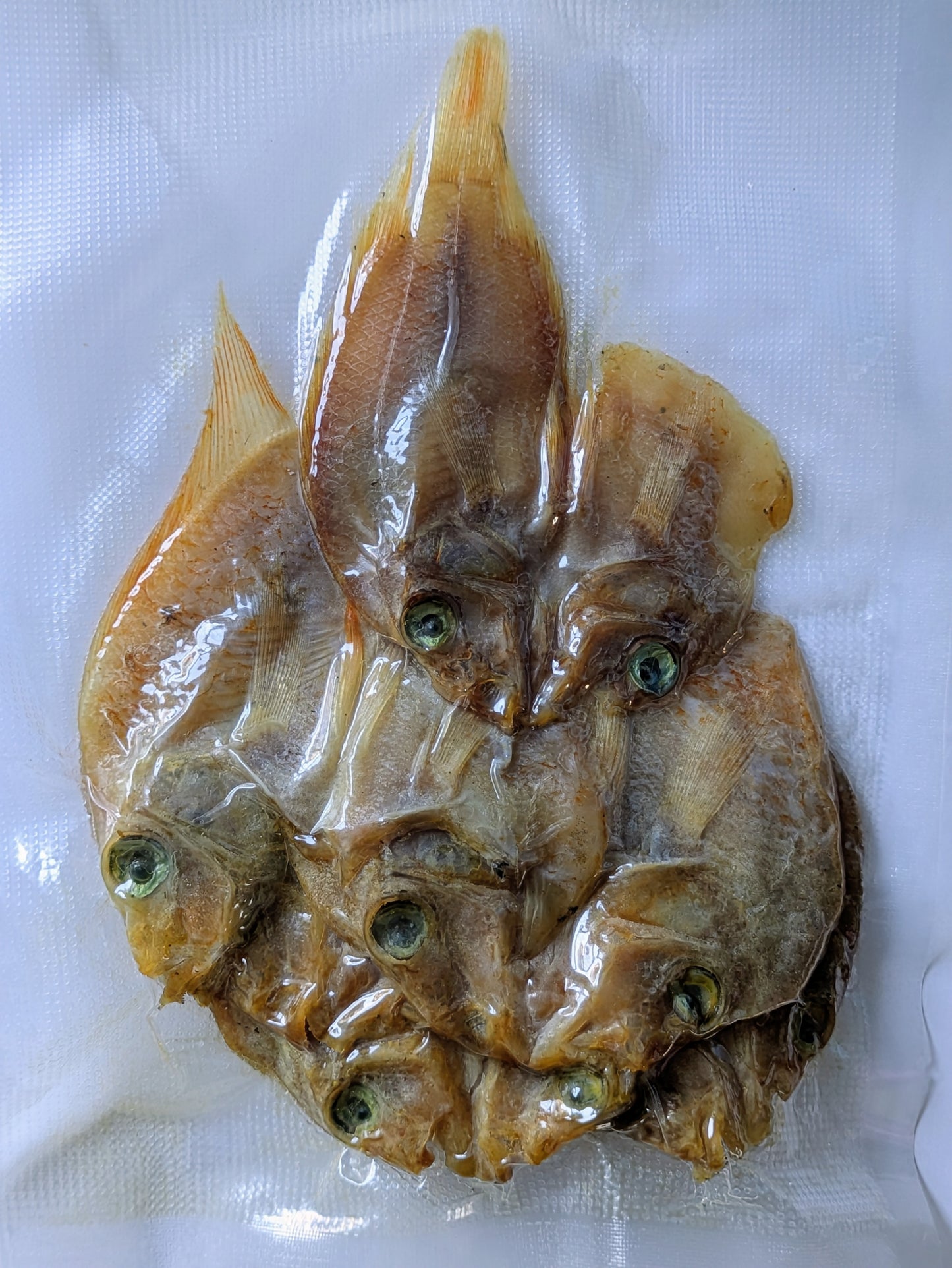 DRIED TILAPIA ORANGE 100G