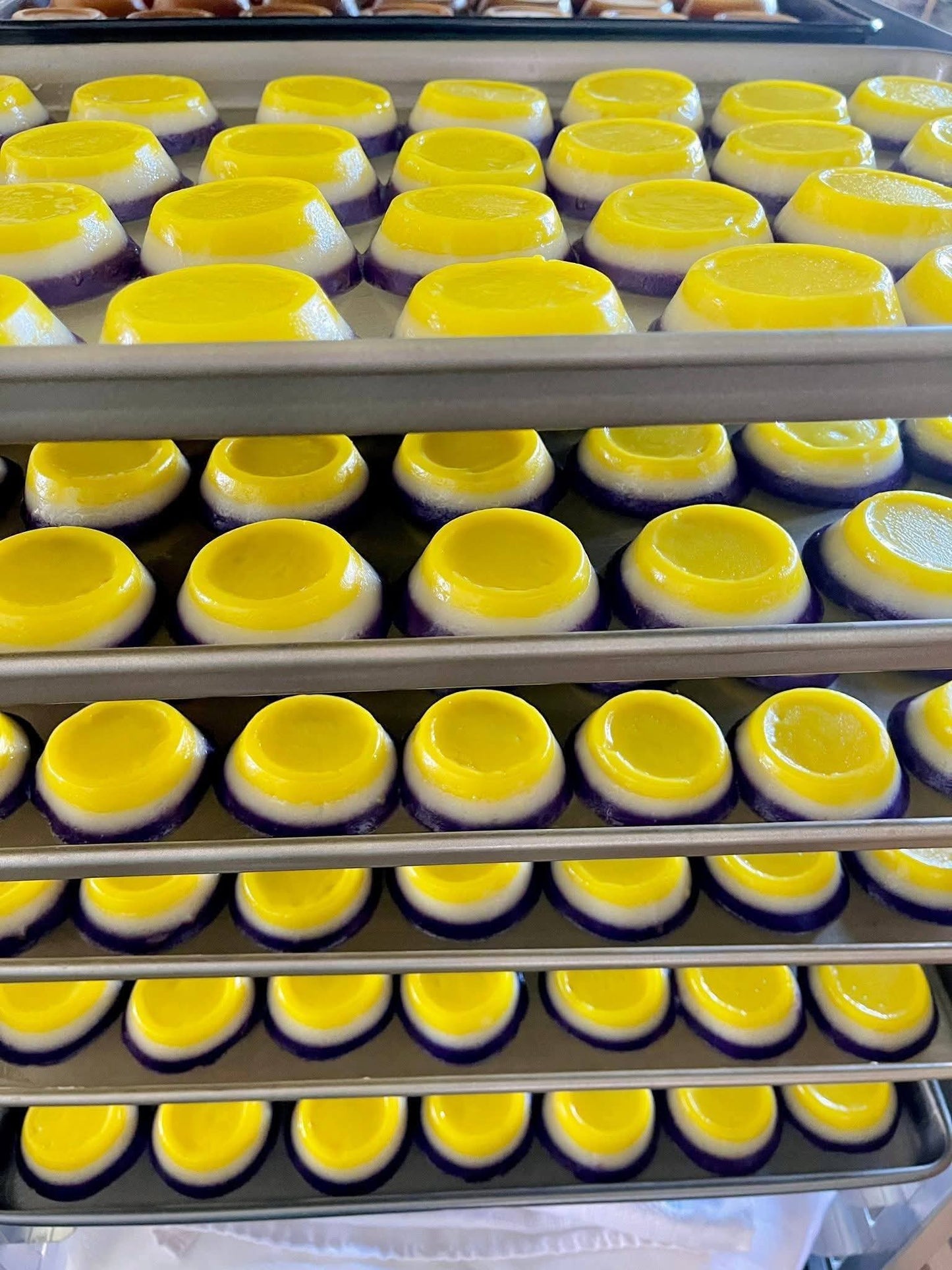 SAPIN-SAPIN 10PCS (PRE-ORDER) SHIPPING SEPT. 9