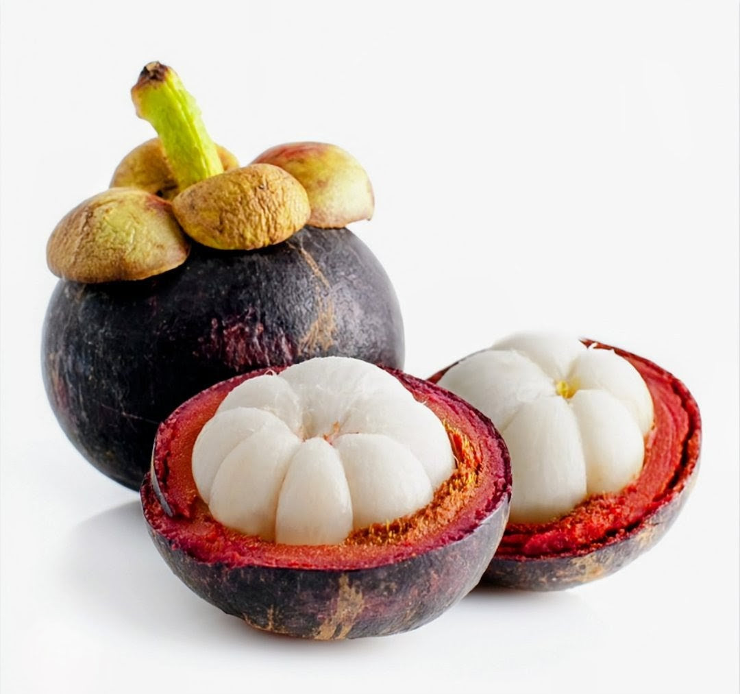 MANGOSTEEN 500g (PRE-ORDER)