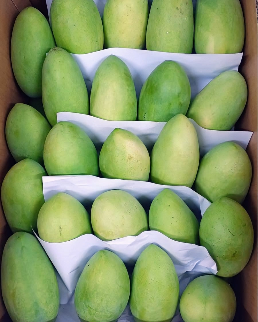 MANGO CARABAO 1kg (PRE-ORDER)