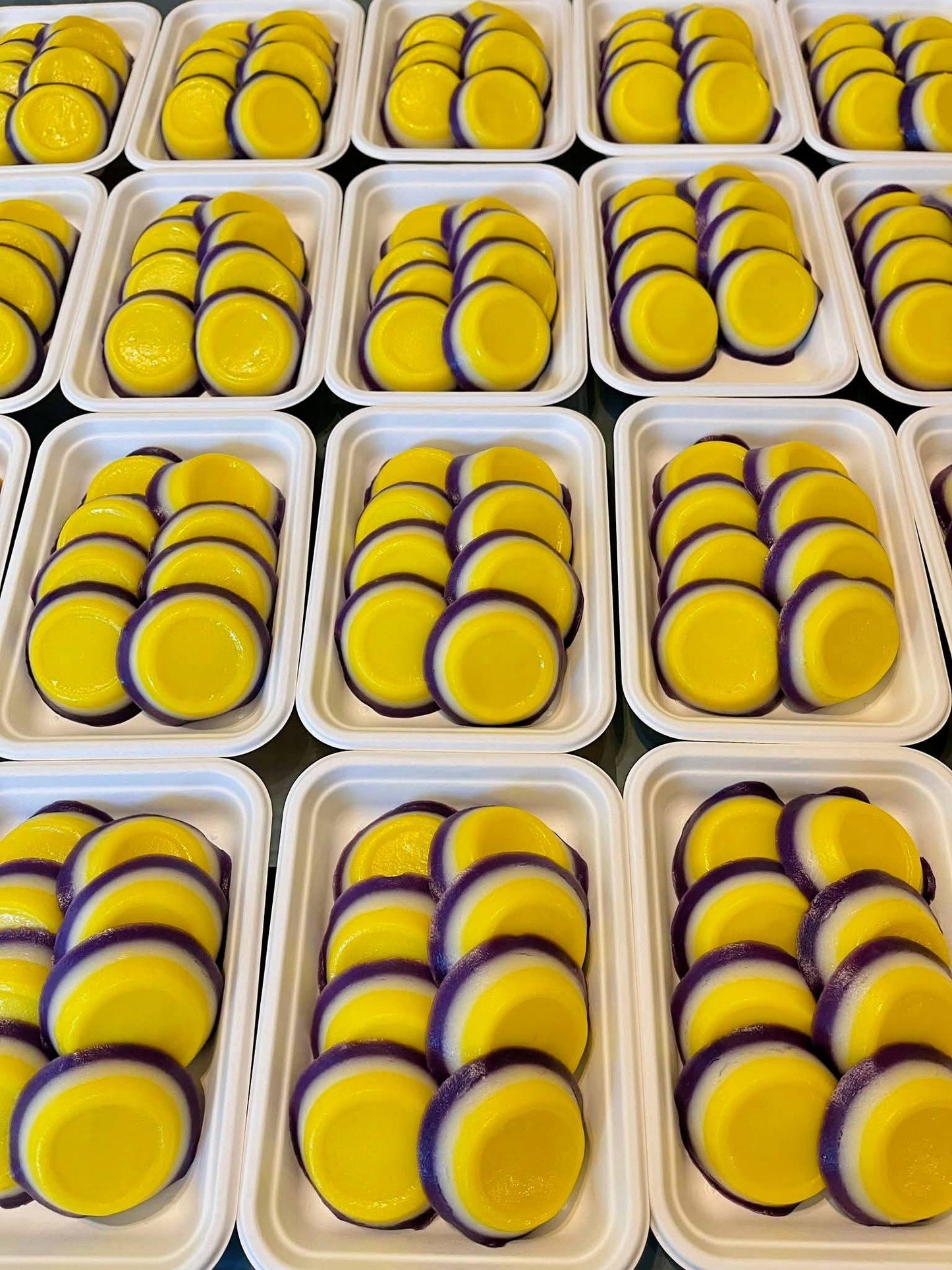 SAPIN-SAPIN 10PCS (PRE-ORDER) SHIPPING SEPT. 9