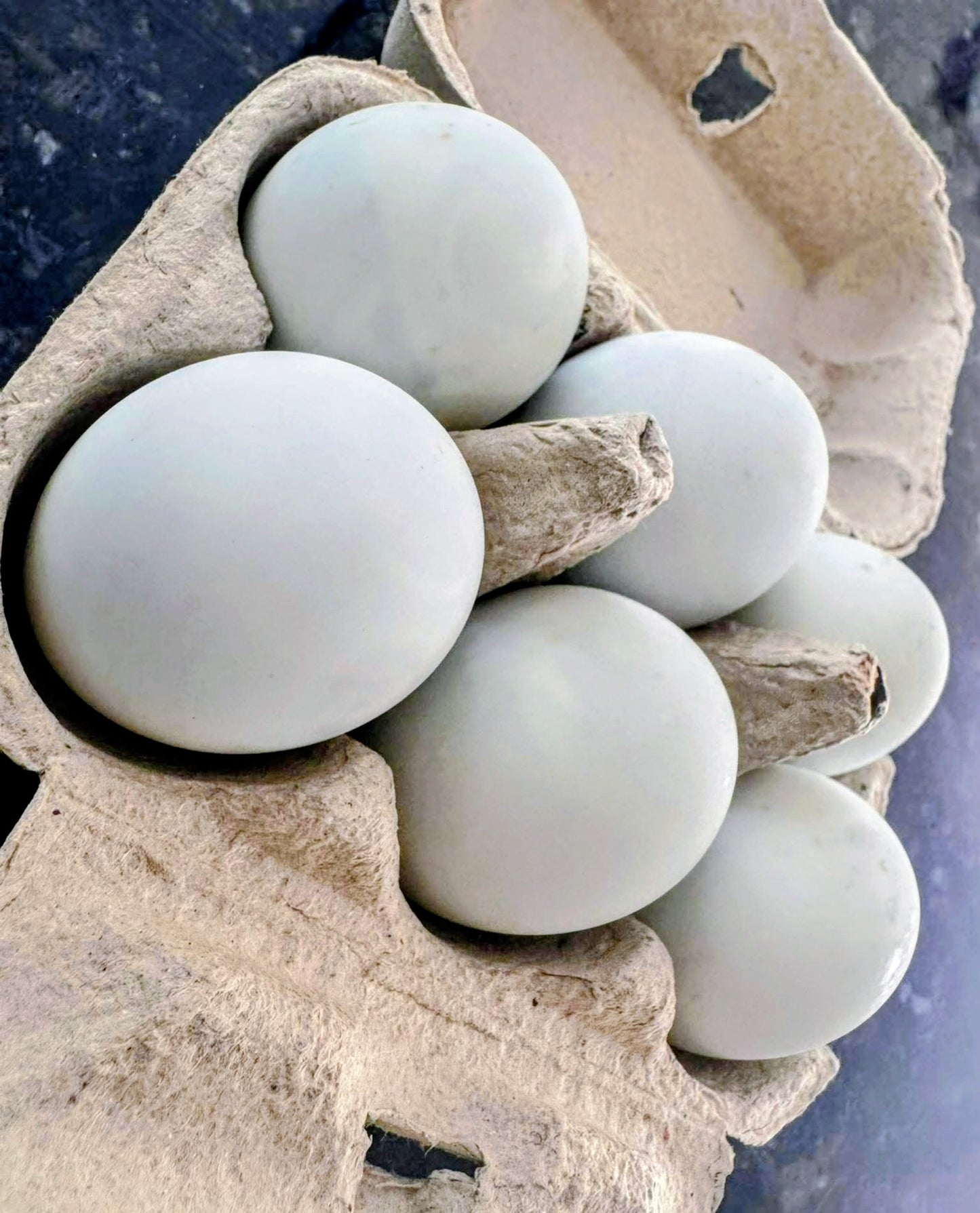 COOKED BALUT
