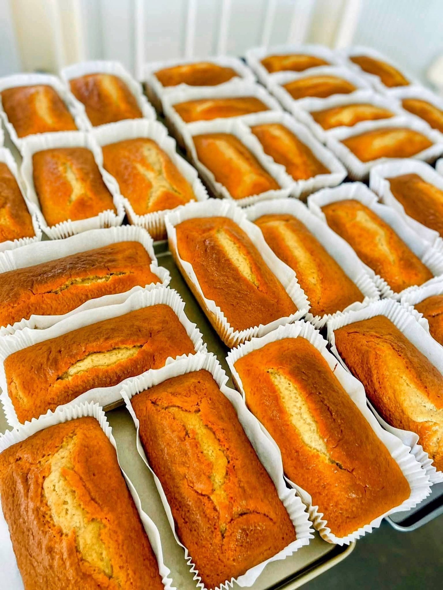 BANANA CAKE (PRE-ORDER) SHIPPING SEPT. 9