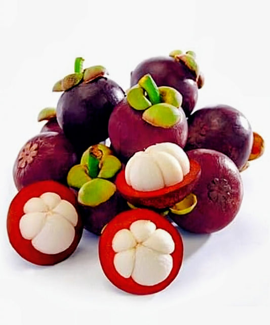 MANGOSTEEN 500g (PRE-ORDER)