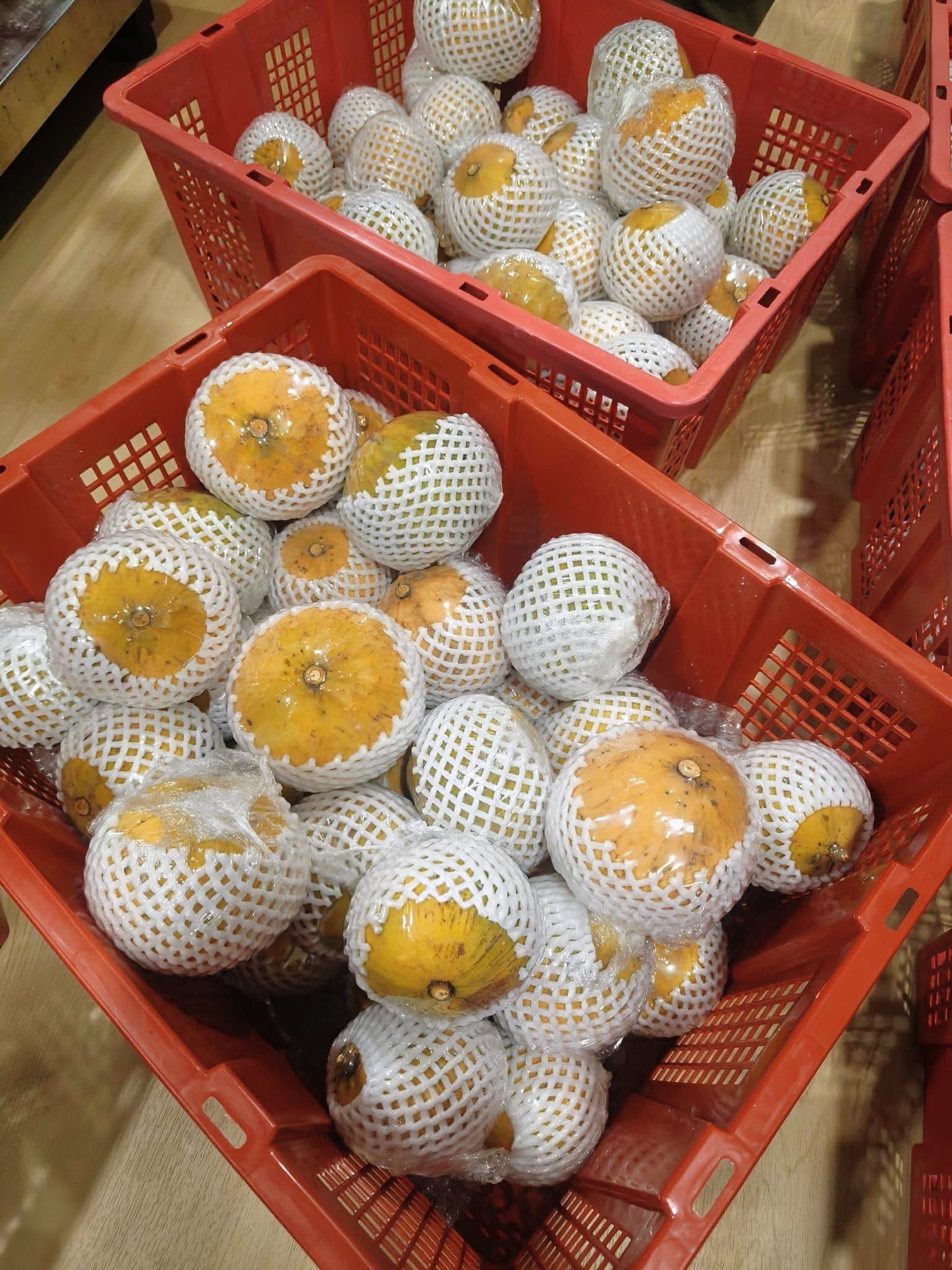 SANTOL 1KG