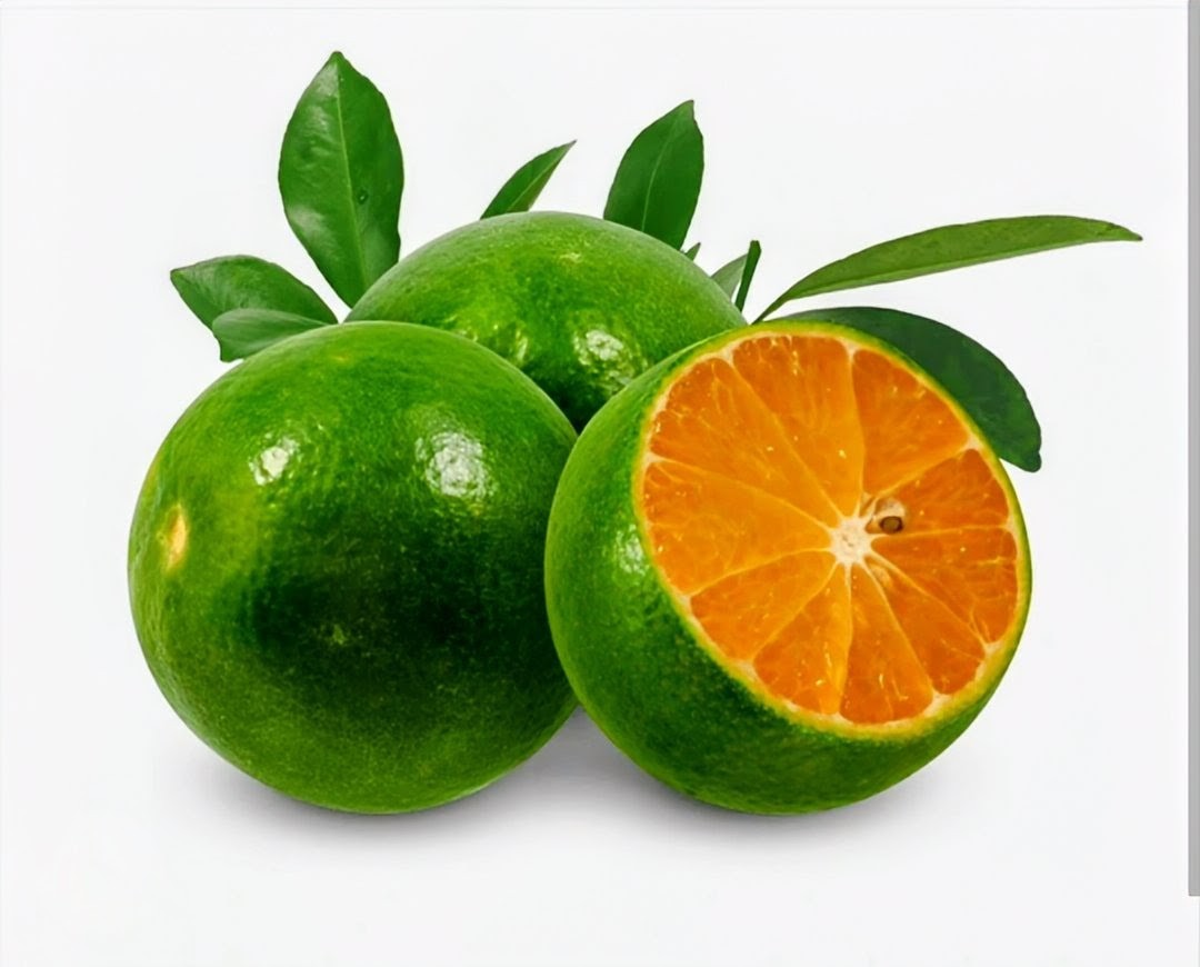 PHILIPPINE CALAMANSI 500g (PRE-ORDER)